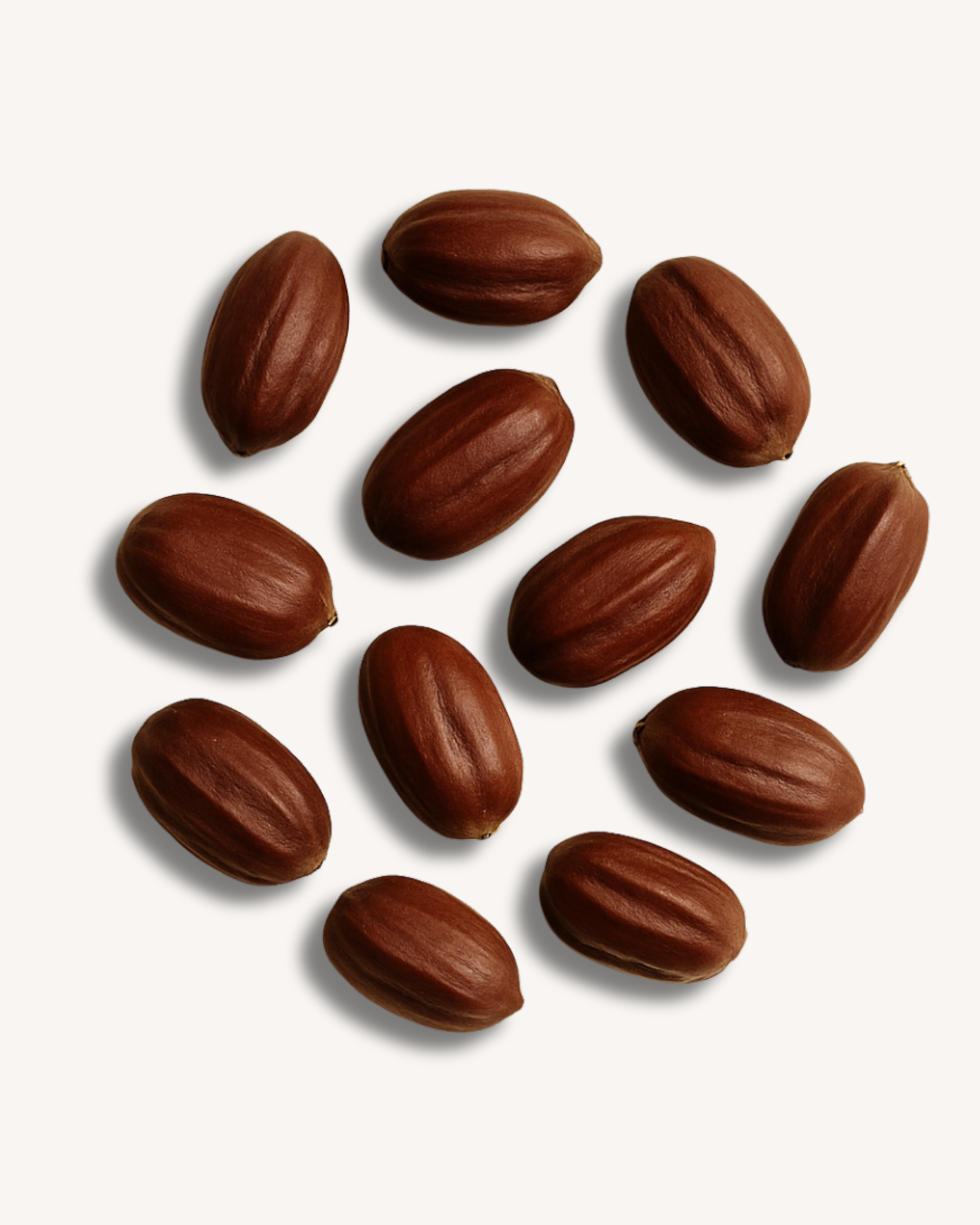 Limitless Jojoba